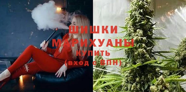 молекула духа Бородино